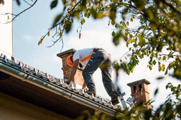 Best Metal Roofing Contractor  in Del Rey, CA