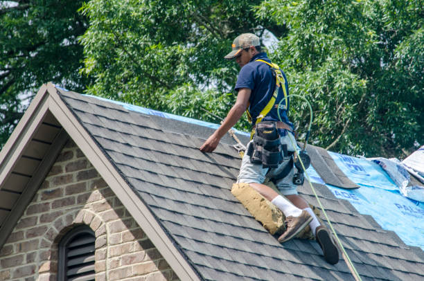 Best Gutter Installation and Roofing  in Del Rey, CA
